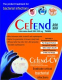 CEFEND-TABS-VISUAL-AID